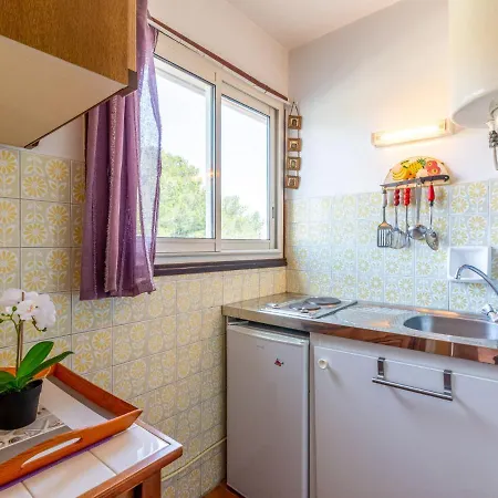 L'espelido-5 By Interhome Apartment